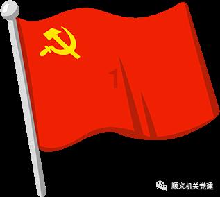 解救金刚鹦鹉