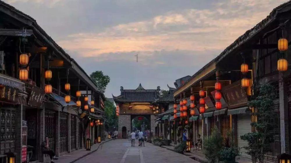 世界上最聪明的动物排名